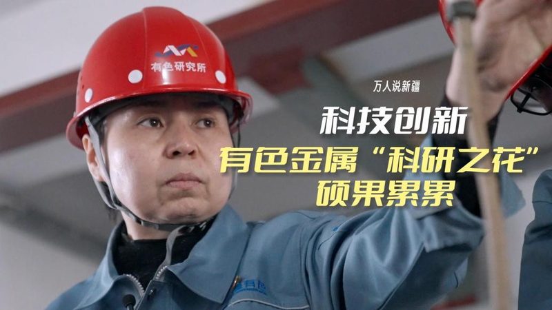 OA协同办公安全考量：优与劣的深层剖析